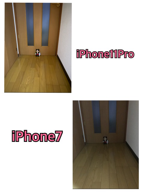 iPhone11Proはとにかくカメラが魅力的！